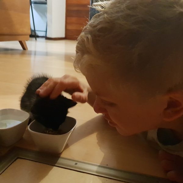 When Sabie Arrived (1)